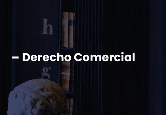 BMV_Servicios_2