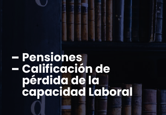 BMV_Servicios_7